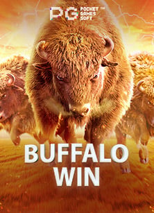 ประสบการณ์บา คา ร่า star99xo auto slot เกมสนุกยิ่งกว่าที่คิด